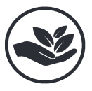 icon_policy